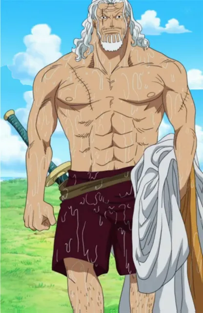 7 Kakek-Kakek Strong Paling Ikonik dalam Anime. Di Usia Senja Aja Badannya Masih Begitu, Gokil! 13