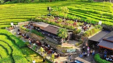 Rekomendasi 5 Tempat Ngopi Paling Seru di Yogyakarta yang Sangat Cocok Untuk Anak Milenial