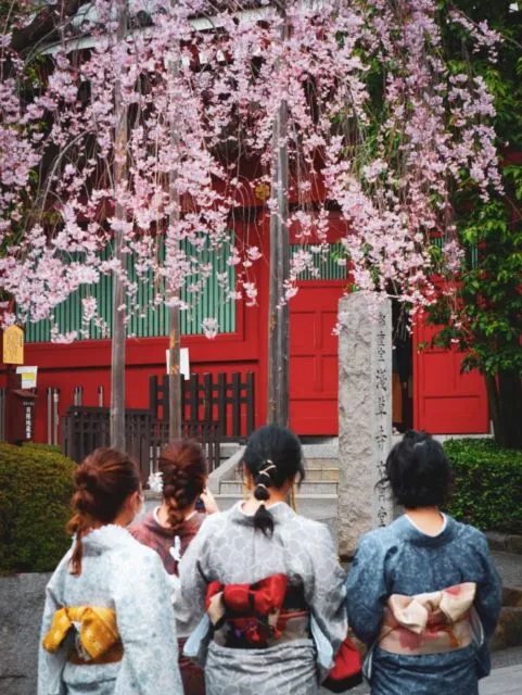 Serba-Serbi Festival Hanami, Tradisi Melihat Bunga Sakura yang Dilakukan oleh Orang Jepang! 8