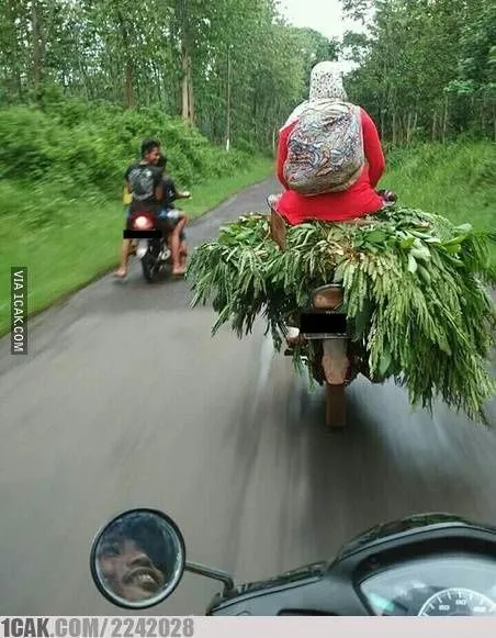 Ngaku Kalau Jenis Motormu Paling Enak buat Boncengan? Pasti Belum Pernah Lihat Foto-Foto ini~ 22