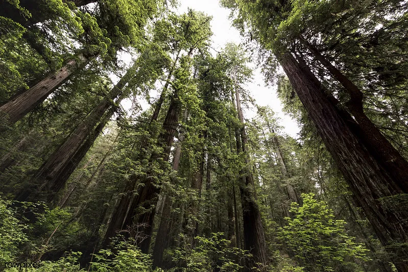 Bukan Animasi, ini 8 Lokasi Syuting Film