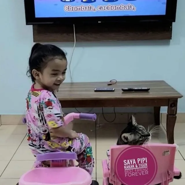 Viral Warganet Beli Kucing agar Anaknya Nggak Main HP Terus, Ujung-ujungnya Malah Main Gadget Bareng 20