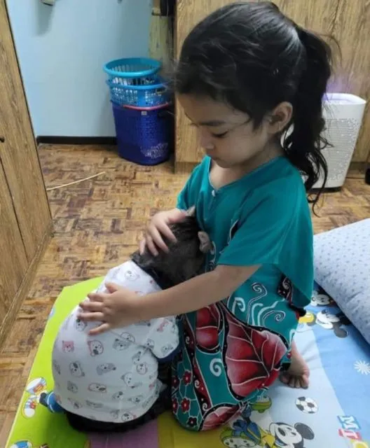 Viral Warganet Beli Kucing agar Anaknya Nggak Main HP Terus, Ujung-ujungnya Malah Main Gadget Bareng 16