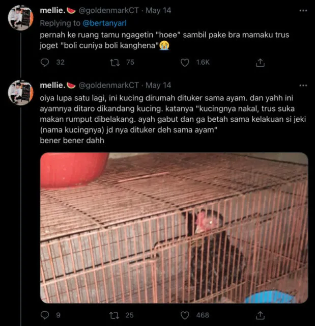 Ditanya Tentang Kelakuan Absurd Bapaknya, Warganet Twitter Berbagi Cerita Kocak Mereka 22