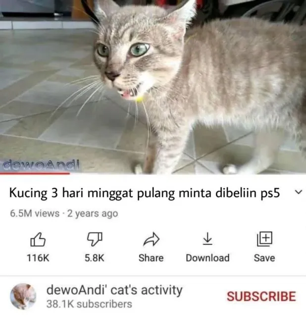 Masih Ingat Tentang Kucing yang Minggat 3 Hari Pulang Marah-Marah? Inilah Deretan Meme Kocaknya~ 22