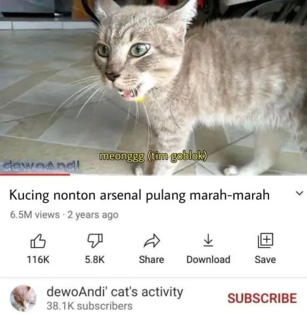 Masih Ingat Tentang Kucing yang Minggat 3 Hari Pulang Marah-Marah? Inilah Deretan Meme Kocaknya~ 13