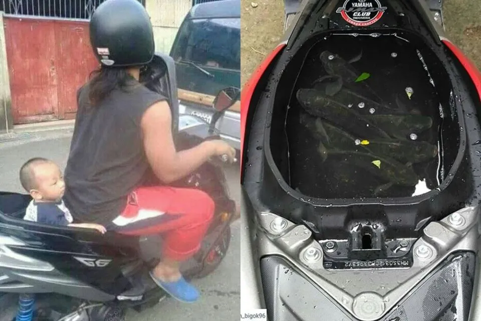 Ngaku Kalau Jenis Motormu Paling Enak buat Boncengan? Pasti Belum Pernah Lihat Foto-Foto ini~ 16