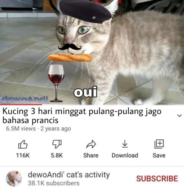 Masih Ingat Tentang Kucing yang Minggat 3 Hari Pulang Marah-Marah? Inilah Deretan Meme Kocaknya~ 20