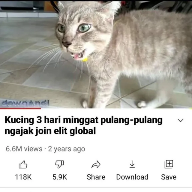 Masih Ingat Tentang Kucing yang Minggat 3 Hari Pulang Marah-Marah? Inilah Deretan Meme Kocaknya~ 12