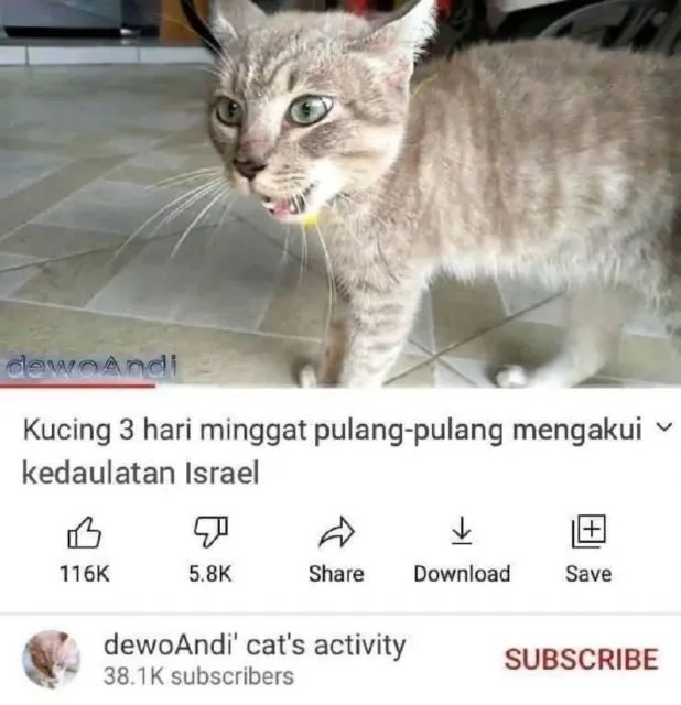 Masih Ingat Tentang Kucing yang Minggat 3 Hari Pulang Marah-Marah? Inilah Deretan Meme Kocaknya~ 19