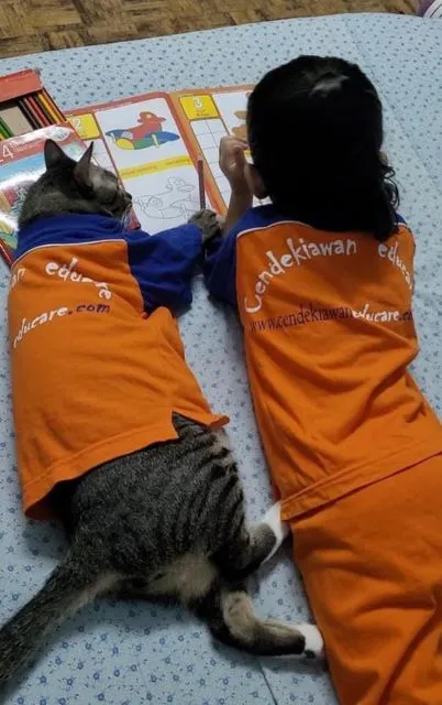 Viral Warganet Beli Kucing agar Anaknya Nggak Main HP Terus, Ujung-ujungnya Malah Main Gadget Bareng 14