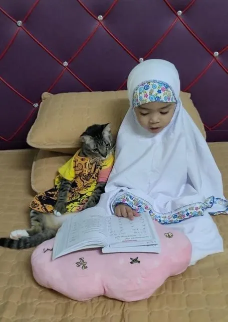 Viral Warganet Beli Kucing agar Anaknya Nggak Main HP Terus, Ujung-ujungnya Malah Main Gadget Bareng 19