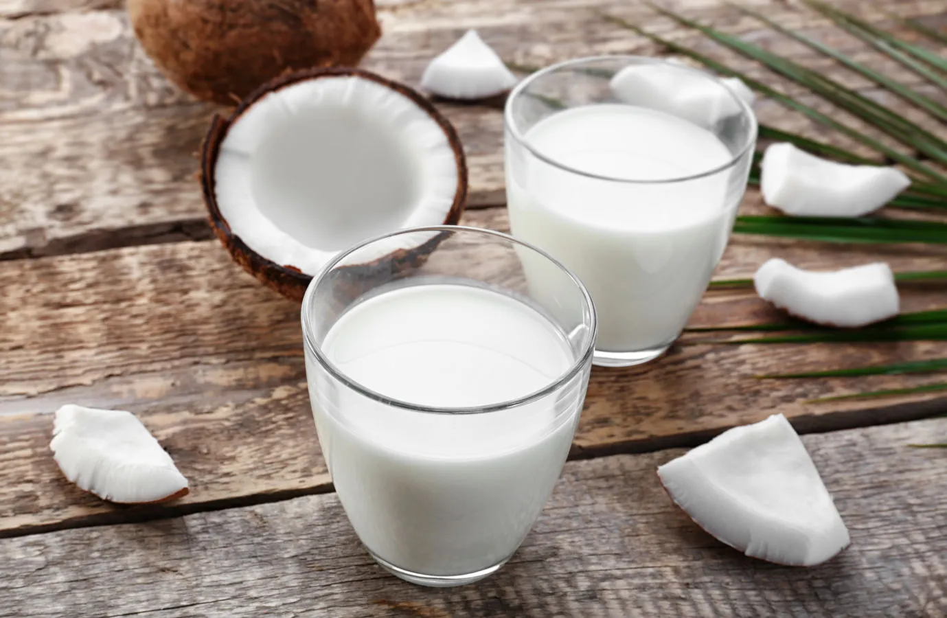 6 Trik Mengolah Masakan Bersantan Saat Lebaran. Minim Kolesterol, Masih Aman Dikonsumsi 8