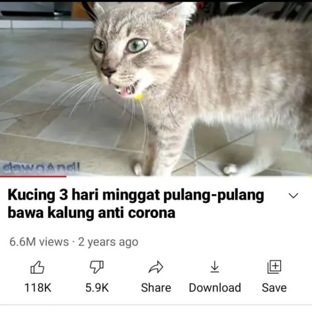 Masih Ingat Tentang Kucing yang Minggat 3 Hari Pulang Marah-Marah? Inilah Deretan Meme Kocaknya~ 14