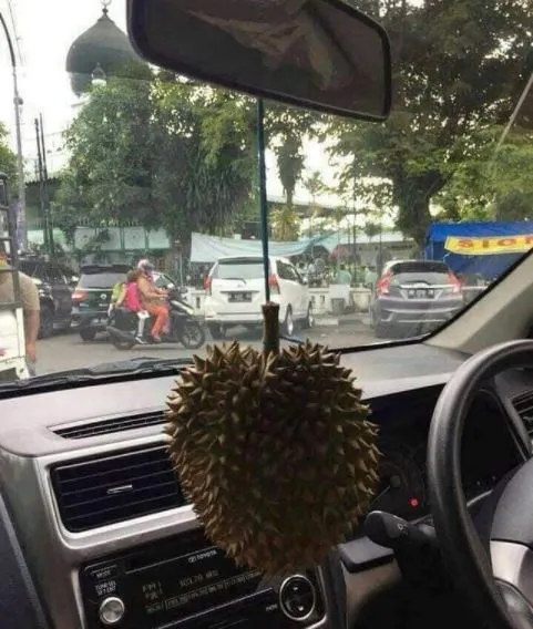 11 Potret Interior Mobil Paling Aneh dan Absurd. Sekali Lihat Rasanya Langsung Pengin Emosi! 13