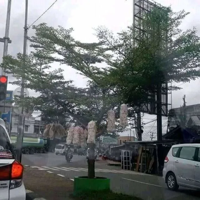 10 Lokasi Warung Absurd yang Bikin Gagal Fokus. Bikin Pembeli Bingung dan Mikir Dua Kali 19