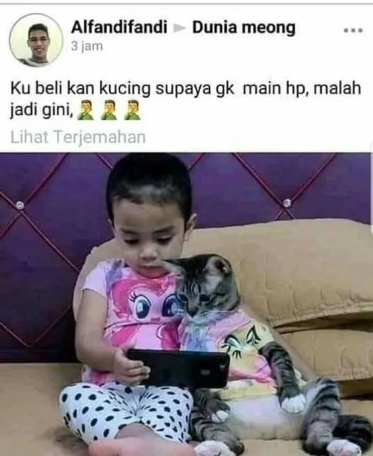 Viral Warganet Beli Kucing agar Anaknya Nggak Main HP Terus, Ujung-ujungnya Malah Main Gadget Bareng 12