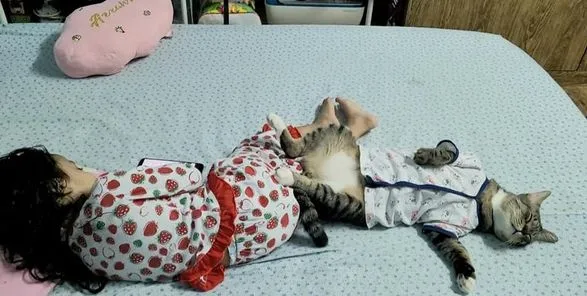 Viral Warganet Beli Kucing agar Anaknya Nggak Main HP Terus, Ujung-ujungnya Malah Main Gadget Bareng 22