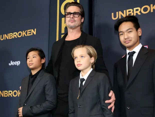 Berseteru Hampir 5 Tahun, Brad Pitt Dapatkan Hak Asuh Anak dari Perceraiannya dengan Angelina Jolie 3
