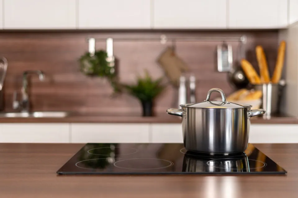 Mengenal Electrifying Lifestyle, Gaya Hidup Ramah Lingkungan Demi Keberlangsungan Masa Depan 3