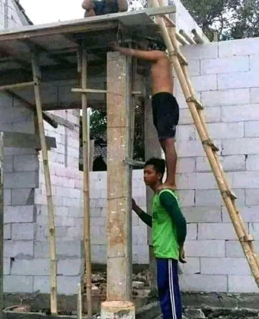 11 Potret Kerja Sama Tak Lazim, Bukti Bahwa Otak Manusia Bisa Digunakan Lebih dari 100% 22