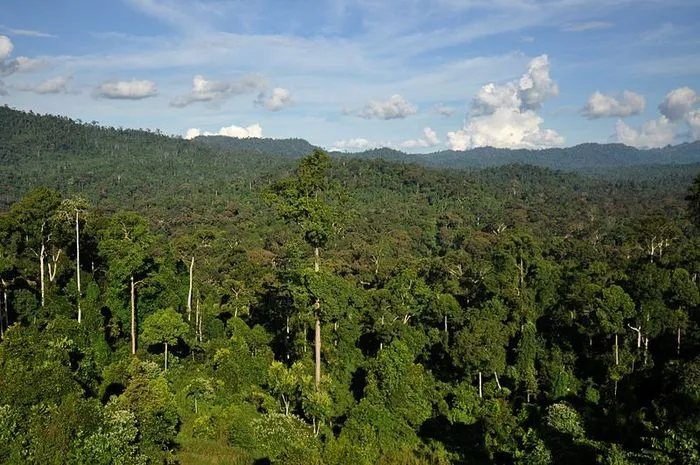 8 Situs Warisan Dunia UNESCO di Indonesia 4