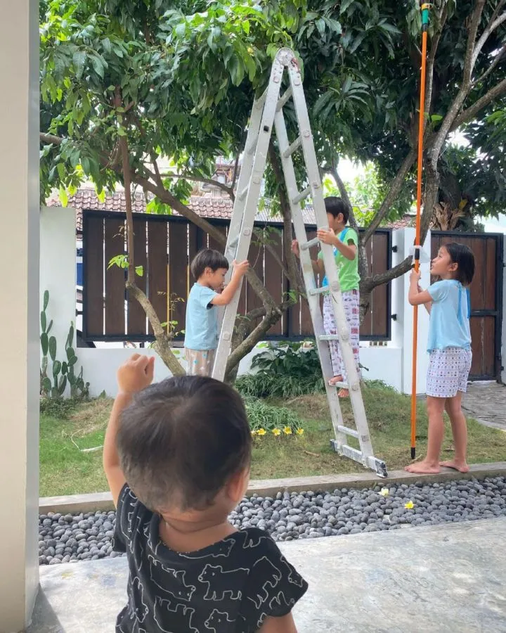 Ingin Menikmati Suasana Tenang dan Asri, 9 Artis ini Miliki Rumah yang Jauh dari Perkotaan 17