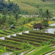 Mengenal Nilai Budaya dan Makna Filosofi Subak. Sistem Irigasi Tradisional di Tabanan Bali yang Sudah Diakui UNESCO