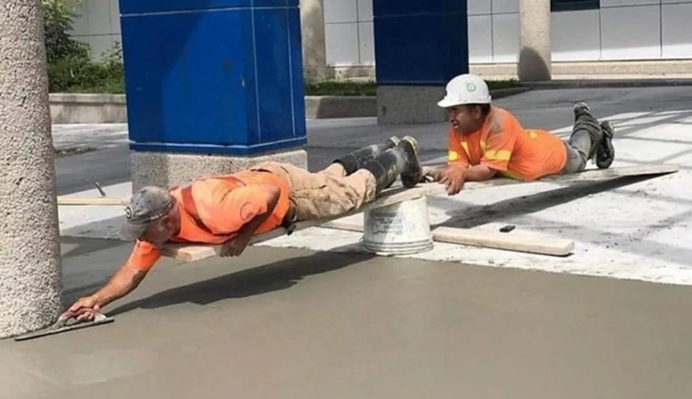 11 Potret Kerja Sama Tak Lazim, Bukti Bahwa Otak Manusia Bisa Digunakan Lebih dari 100% 20