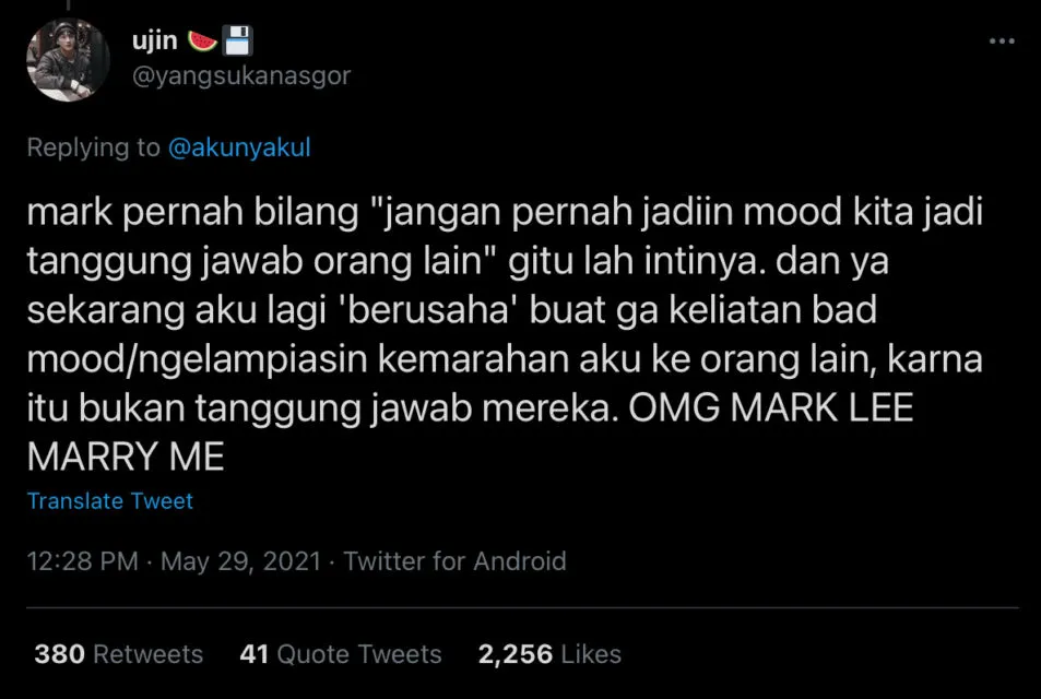Banyak Orang Bilang Ngidol K-Pop Cuma Bikin Halu, Curhatan para Warganet ini Buktikan Sebaliknya 21