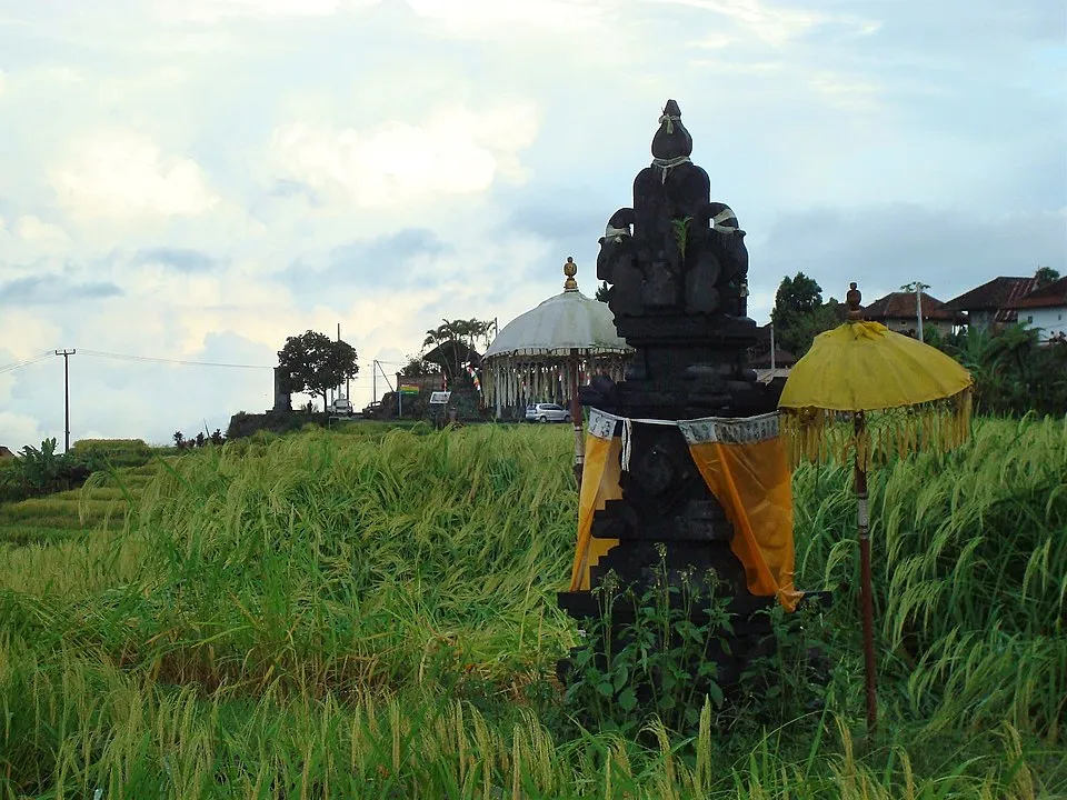 Mengenal Nilai Budaya dan Makna Filosofi Subak. Sistem Irigasi Tradisional di Tabanan Bali yang Sudah Diakui UNESCO 4