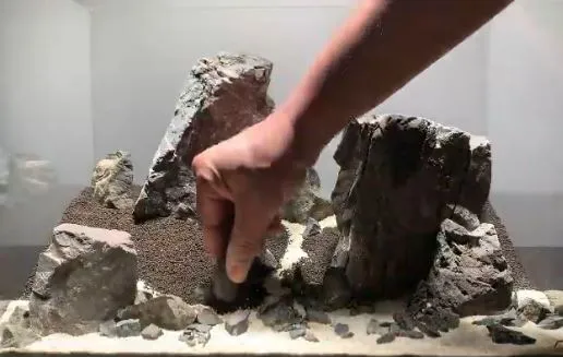 6+ Cara Buat Aquascape Simple Minimalis Tanpa CO2 10 cara membuat aquascape untuk pemula