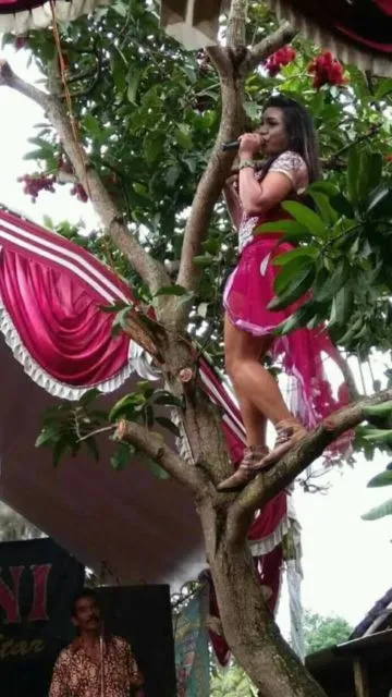 Derita Pekerja Kantoran di Kampung. Nggak Selamanya Jadi Pegawai itu Enak~ 8 Acara dangdutan