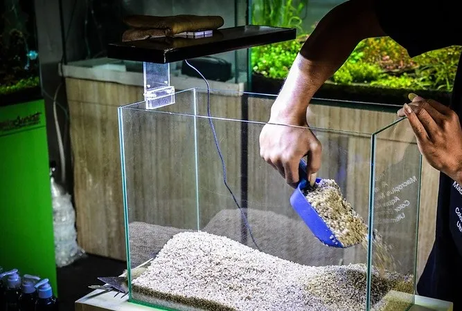 6+ Cara Buat Aquascape Simple Minimalis Tanpa CO2 9 cara membuat aquascape pasir silika