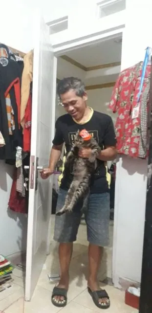 11 Potret Bapak Lebih Sayang sama Kucing daripada Anak Sendiri. Susah Kalau Udah Begini mah :D 19