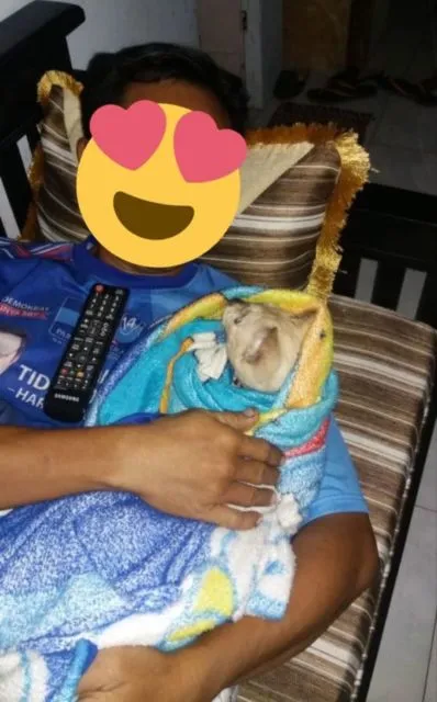 11 Potret Bapak Lebih Sayang sama Kucing daripada Anak Sendiri. Susah Kalau Udah Begini mah :D 11