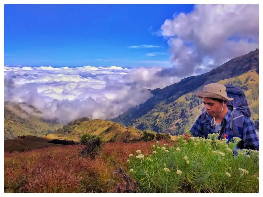 Petik Edelweis di Taman Nasional Gunung Rinjani, Sepasang Wisatawan di-Blacklist Selama Dua Tahun 4