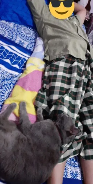 11 Potret Bapak Lebih Sayang sama Kucing daripada Anak Sendiri. Susah Kalau Udah Begini mah :D 14