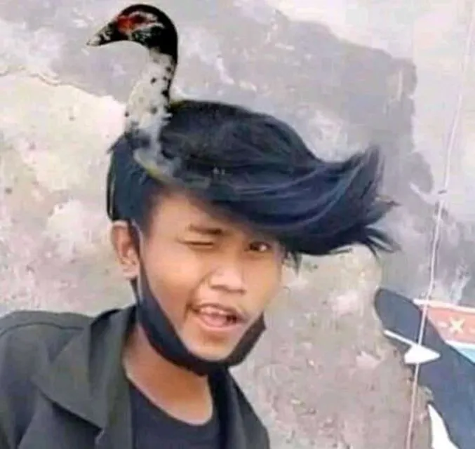 Nggak Cuma Cinta yang Bikin Kita Nggak Paham sama Hidup, Gaya Rambut Aneh ini juga! 14
