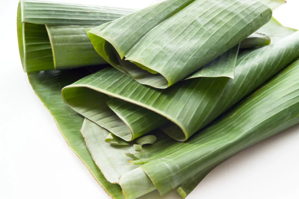 4 Cara Menyimpan Daun Pisang Agar Awet Sampai Sebulan. Dijamin Segar! 6 cara menyimpan daun pisang tanpa kulkas