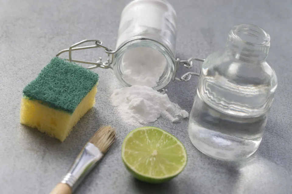 7 Cara Membersihkan Dispenser Galon Atas maupun Bawah dengan Mudah 8 larutan pembersih dispenser