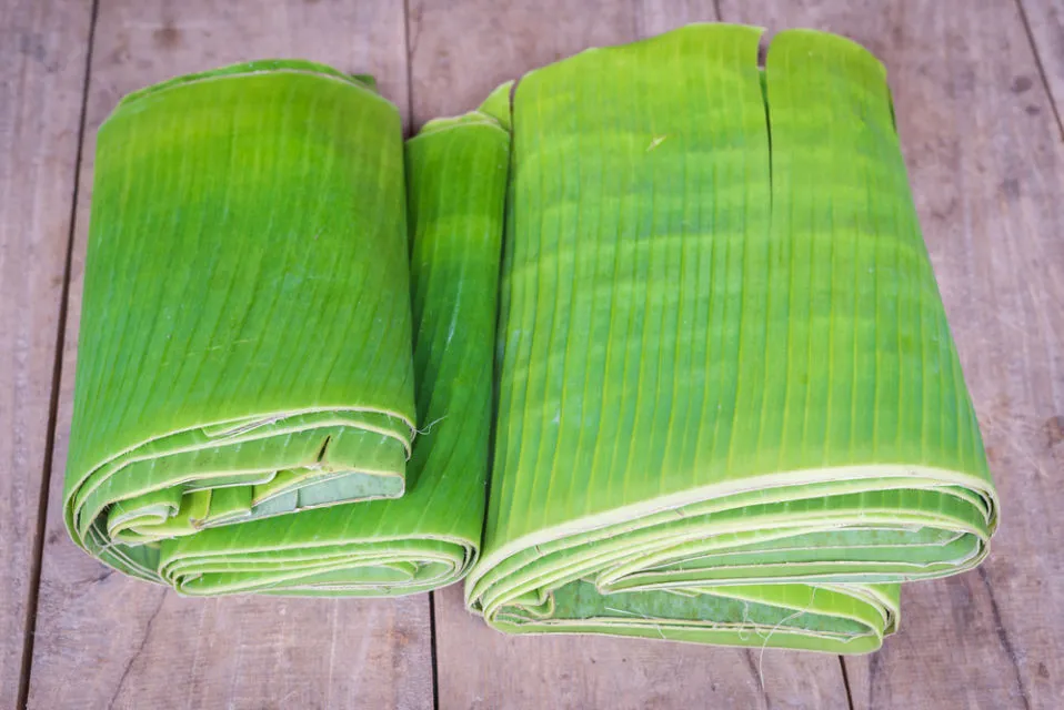 4 Cara Menyimpan Daun Pisang Agar Awet Sampai Sebulan. Dijamin Segar! 5 cara menyimpan daun pisang agar awet