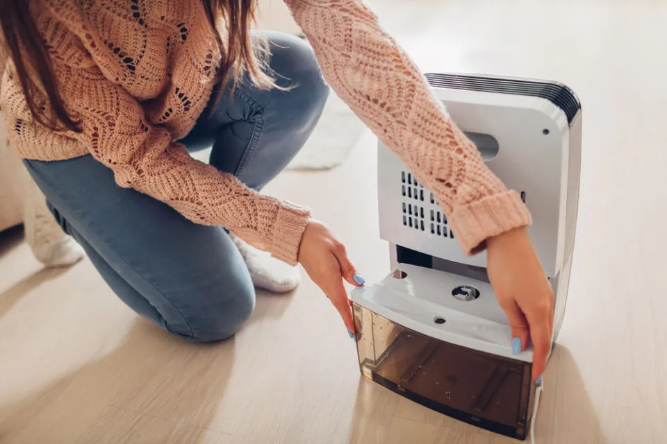 6 Tips Memilih Air Purifier yang Efektif Bersihkan Udara dalam Ruangan 7