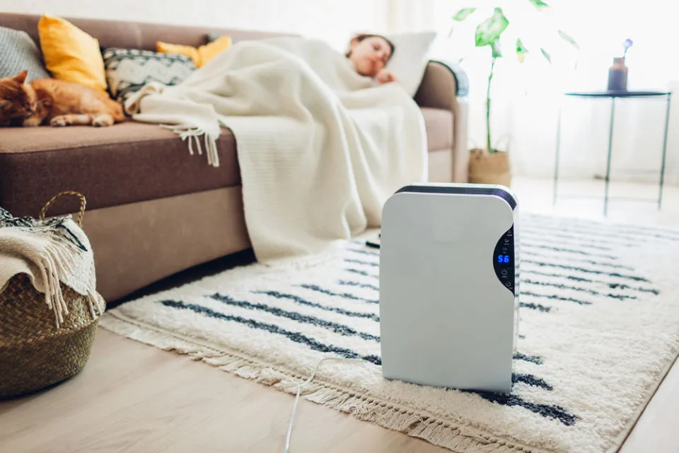 6 Tips Memilih Air Purifier yang Efektif Bersihkan Udara dalam Ruangan 8