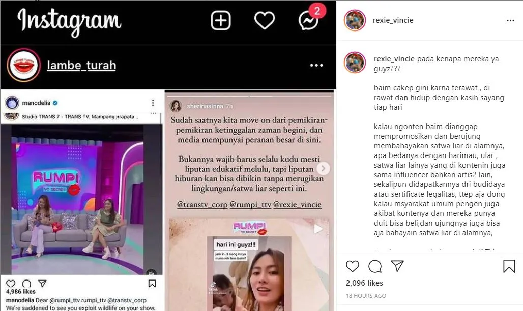 Monyet yang Viral di Tiktok Diundang Program TV, Sherina Kritik Keras Eksploitasi Satwa Liar 4
