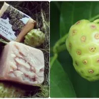 Jadi Rising Star dalam Dunia Skincare, Ini Manfaat Mengkudu untuk Kesehatan Kulit