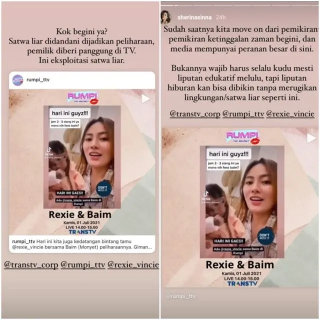 Monyet yang Viral di Tiktok Diundang Program TV, Sherina Kritik Keras Eksploitasi Satwa Liar 3