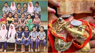 5 Desa Unik di India, Memiliki Penduduk Kembar Terbanyak hingga Tradisi Menikahkan Kodok