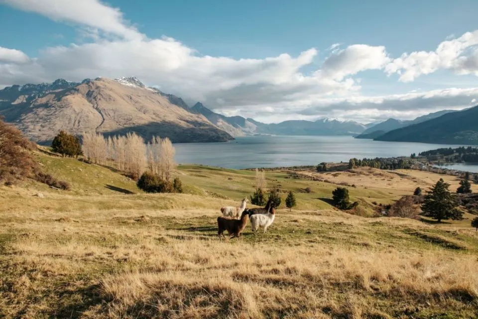 11 Film Luar Negeri dengan Latar Tempat yang Cantik Banget. Berasa Diajak Jalan-Jalan! 13