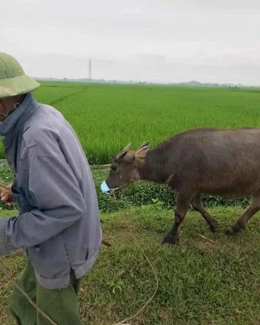 11 Potret Absurd Bapak-Bapak dengan Binatang Kesayangannya. Jangan Sampai Bapakmu Begini! 22